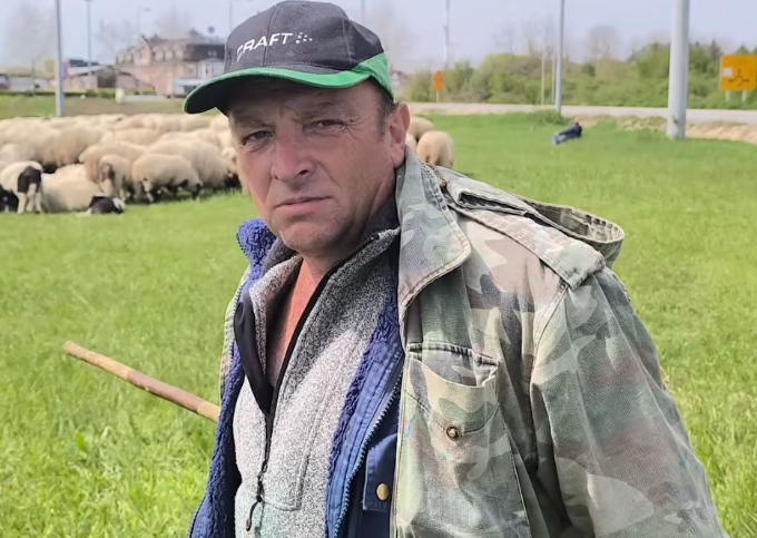 Težak život stočara u BiH: “Ovako ne možemo konkurisati uvozu”