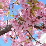 Proljeće u punom sjaju: Sunčano i toplo širom zemlje